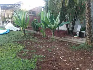 4bdrm House in Yeka Birtabirti for sale