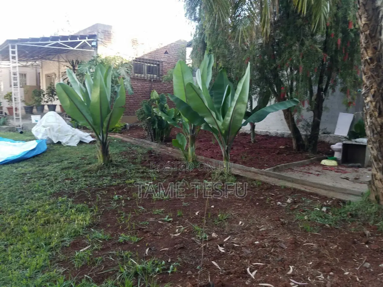 4bdrm House in Yeka Birtabirti for sale