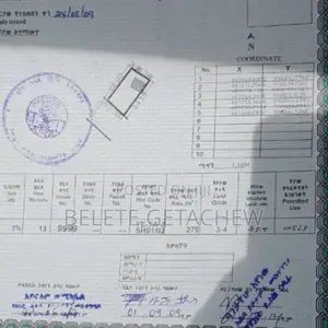 Photo - አያት በአስቸኳይ የሚሸጥ ቆንጆ ቦታ ፡ የድሮ ካርታ ፡ 279ካ.ሜ