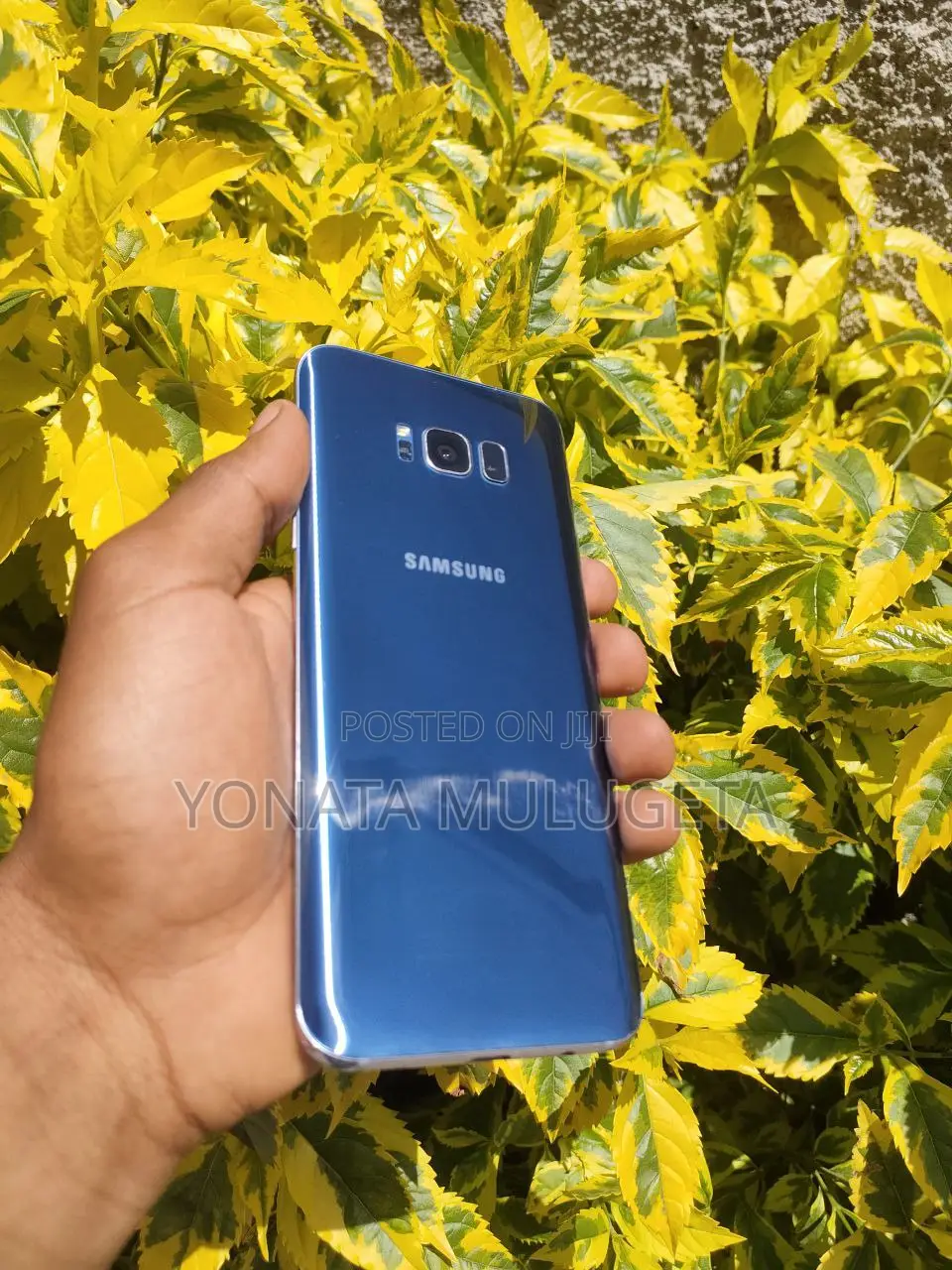 Samsung Galaxy S8 Plus 64 GB Blue