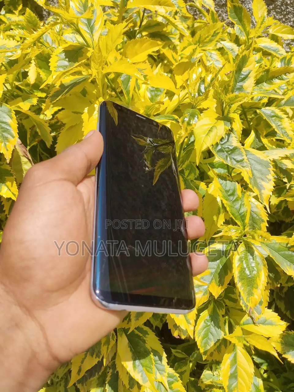 Samsung Galaxy S8 Plus 64 GB Blue