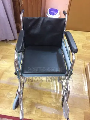 Wheelchair With Commode Bucked and Also Facility