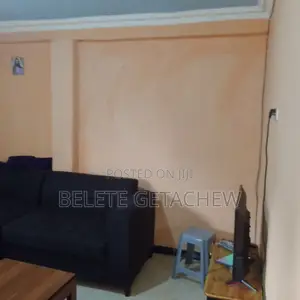 1bdrm Condo in Studio, Bole Arabsa for sale