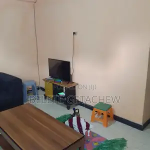 1bdrm Condo in Studio, Bole Arabsa for sale