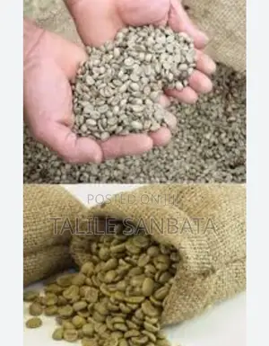 Photo - Wollega, Jimmy And Yirga Chefe Coffee