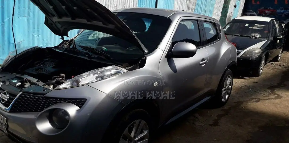 Nissan Juke 2014 Silver