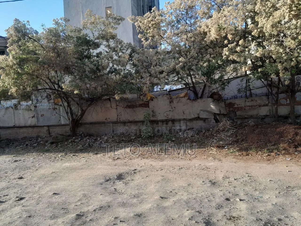 የሚሸጥ ነባር የአያት ሰርቪስ ያለው ቦታ