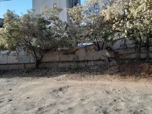 የሚሸጥ ነባር የአያት ሰርቪስ ያለው ቦታ