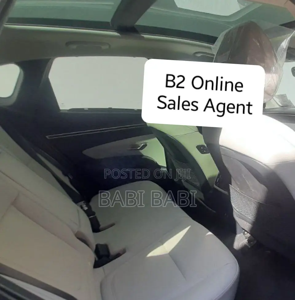 Hyundai Tucson 2023 Brown