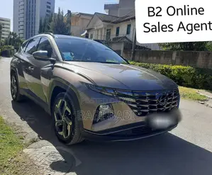 Hyundai Tucson 2023 Brown