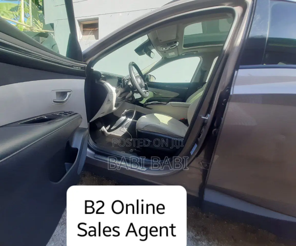 Hyundai Tucson 2023 Brown