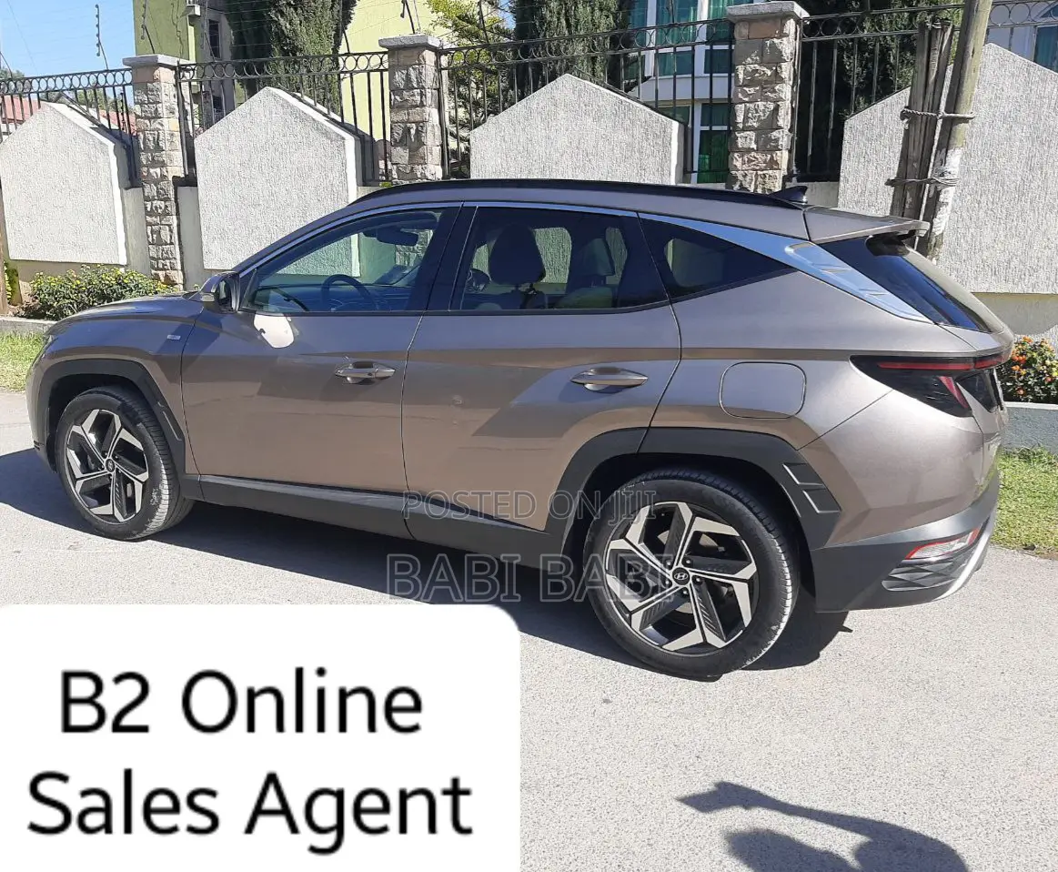 Hyundai Tucson 2023 Brown