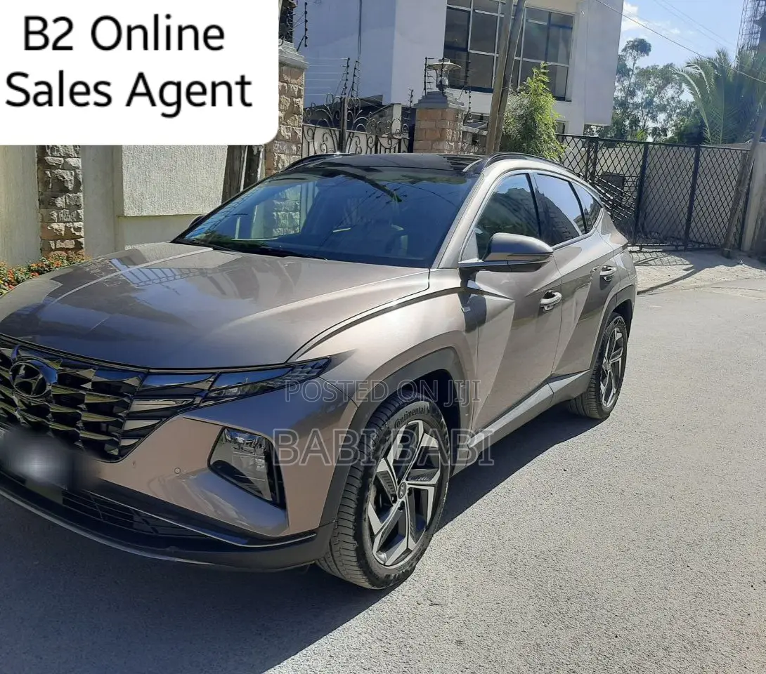 Hyundai Tucson 2023 Brown