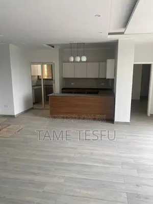 Furnished 3bdrm Apartment in Bole Medanialem for sale