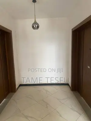 Furnished 3bdrm Apartment in Bole Medanialem for sale