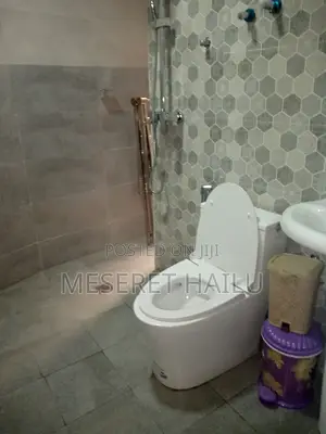 Furnished 2bdrm Apartment in Bole for rent