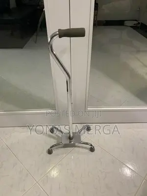 Walking Stick 4 Legs Rm25