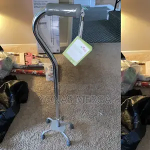 Walking Stick Quad Cane With Small Base Silver