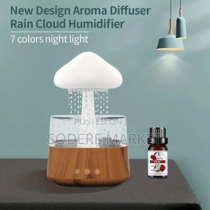 Cloud Rain Humidifier