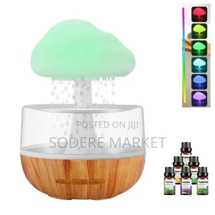Cloud Rain Humidifier