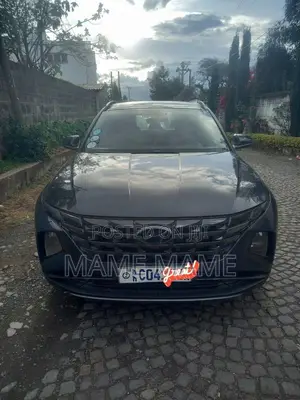 New Hyundai Tucson 2021 Gray