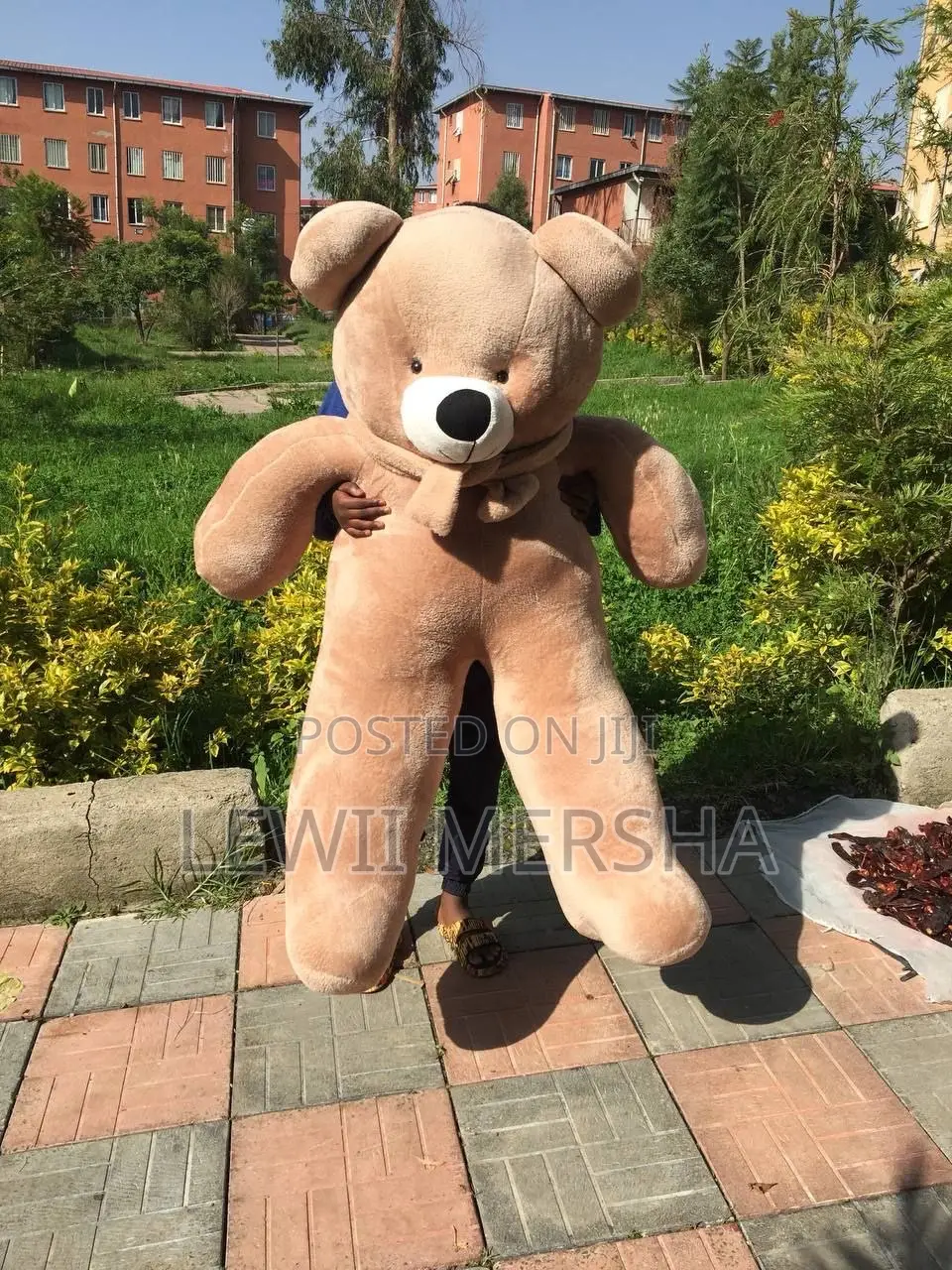 Teddy Bear Big