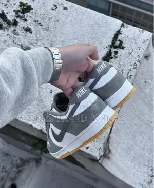 Photo - High Master Quality Nike SB Dunk Low Gray