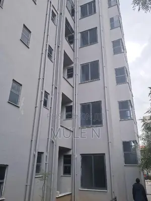 Photo - Furnished 3bdrm Apartment in ፊጋ የግል አፖራታማ, Bole for sale