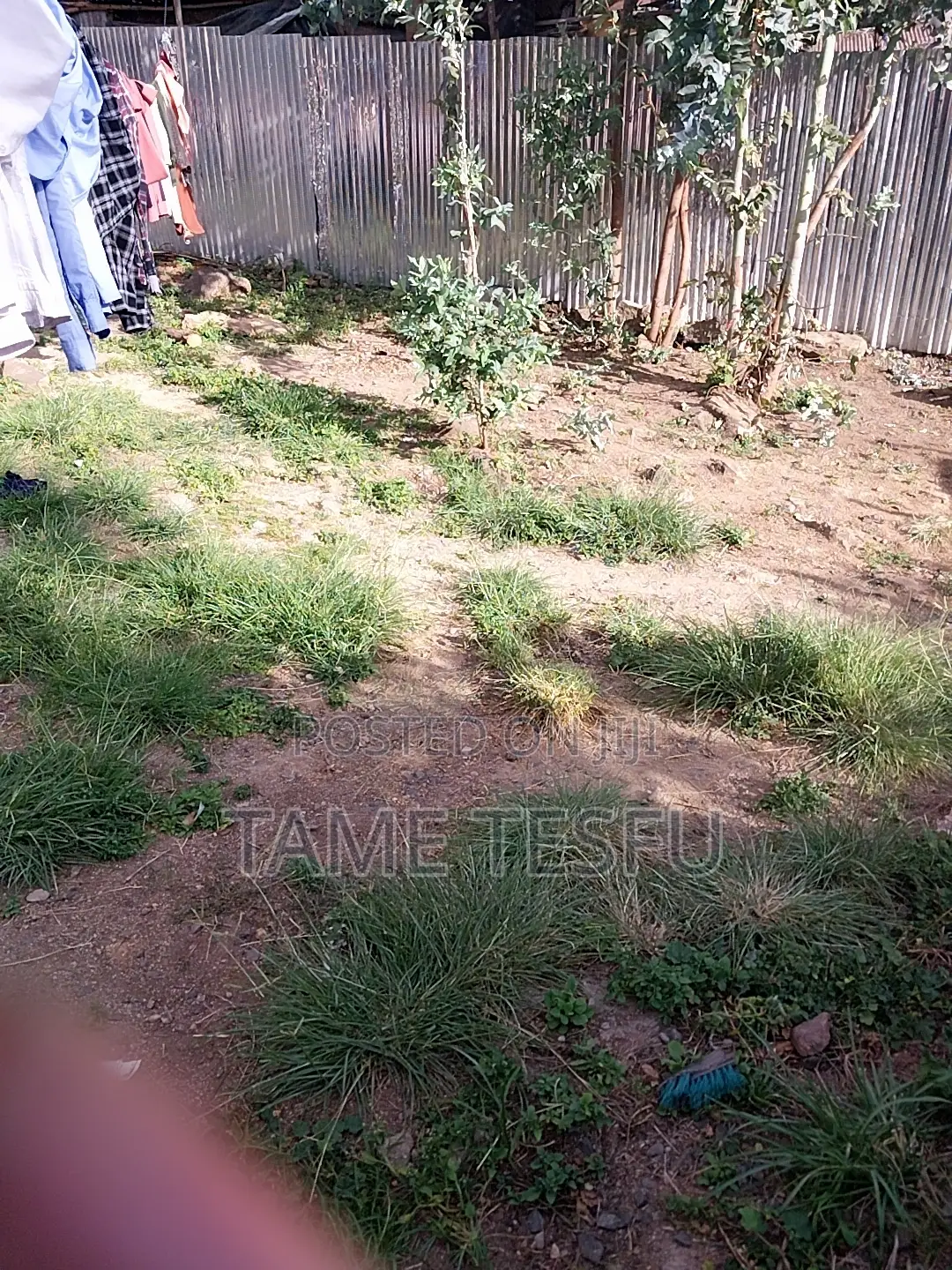 1bdrm House in Yeka Kollejiii for sale