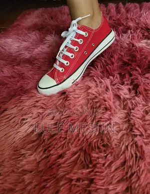 All Star Converse (Shera)