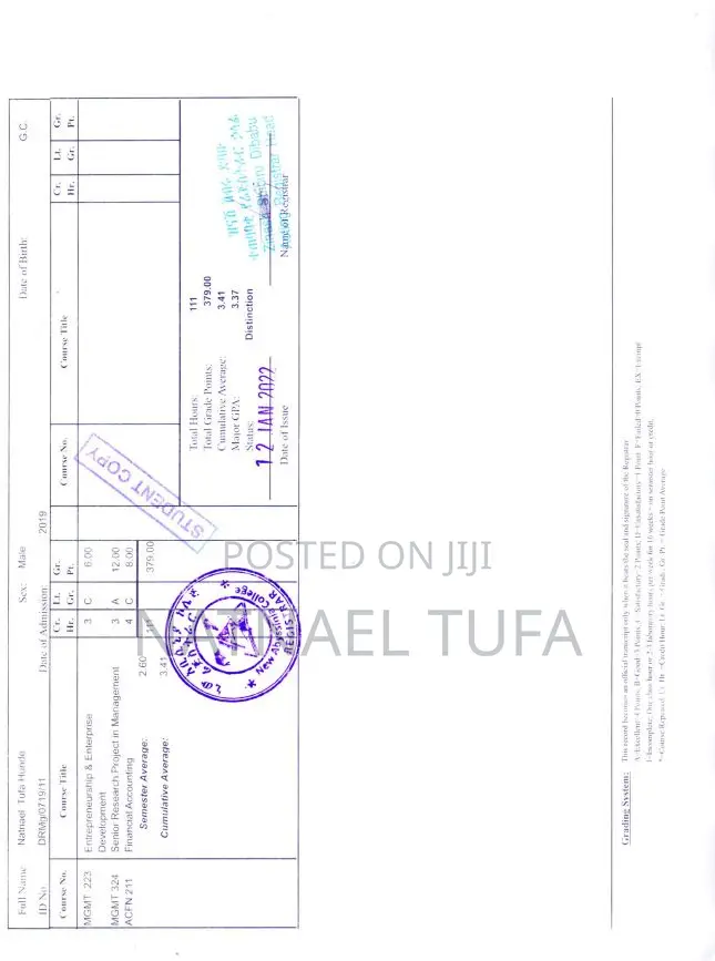 Online Marketer and Sales