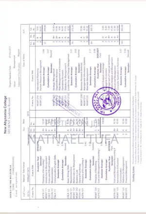 Online Marketer and Sales