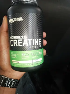 Optimum Nutrition Micronized Creatine