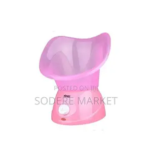 DSP Professional Facial Steam