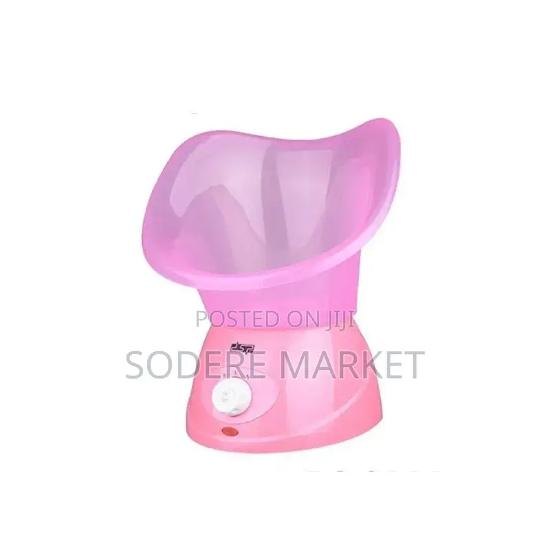 DSP Professional Facial Steam