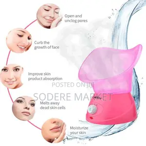 DSP Professional Facial Steam