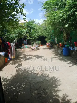 Photo - የሚሸጥ ቦታ መስቀል ፍላወር