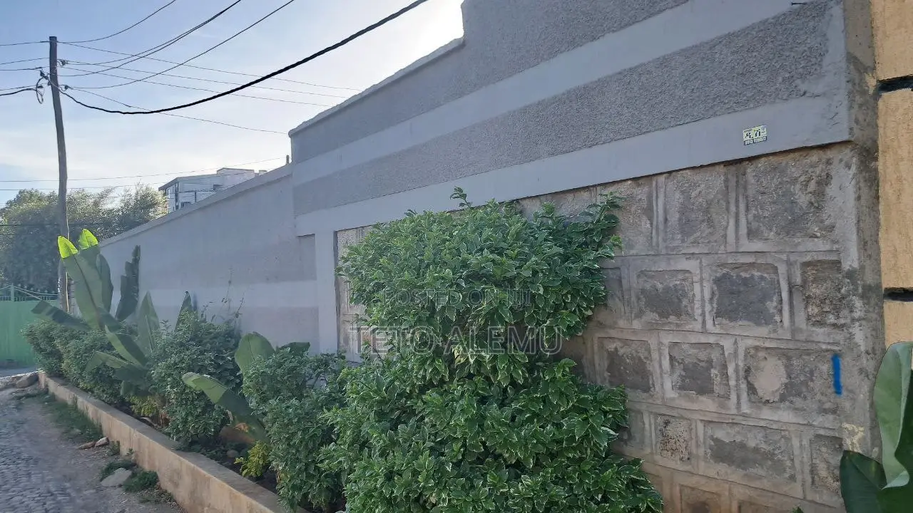 የሚሸጥ ቦታ አያት አፍሮፂዬን