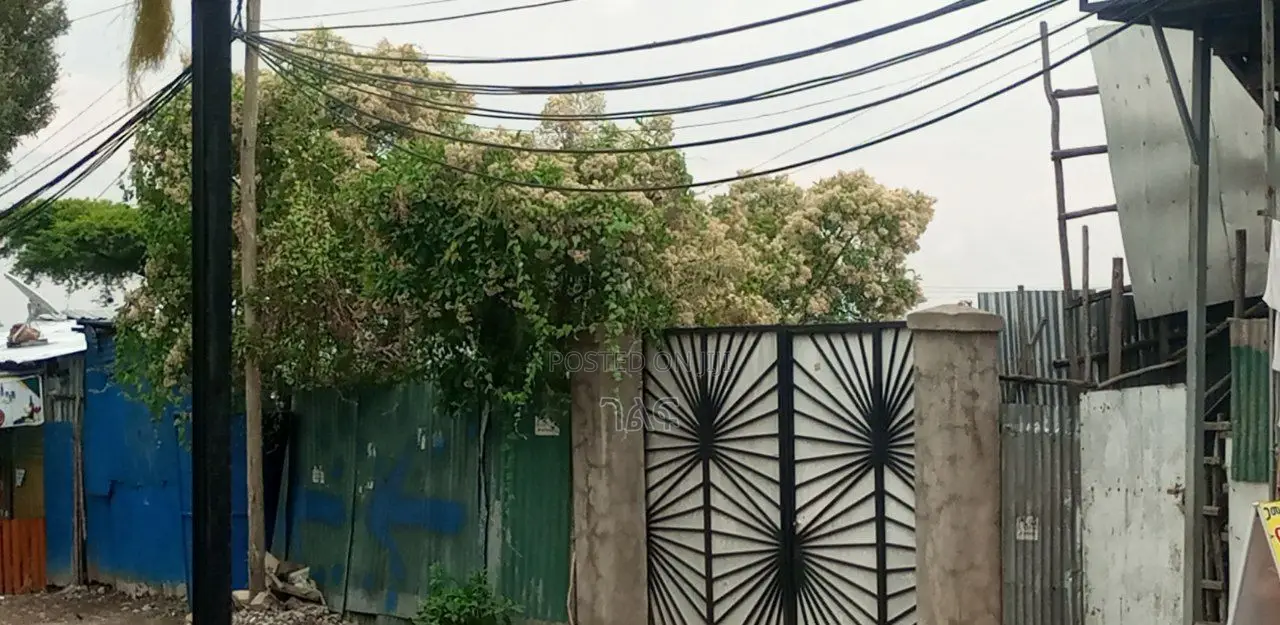 የሚሸጥ ቦታ ዋና አስፓልት መንገድ ላይ ! ፌጋ አካባቢ በካርታ 500