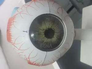 Eye Model
