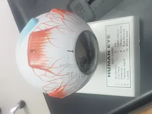 Eye Model