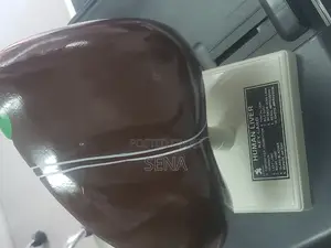 Liver Model
