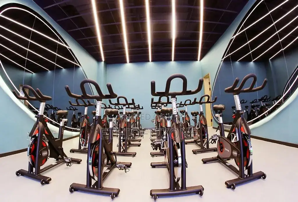 Sport Commertial Bike