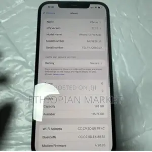 Apple iPhone 12 Pro Max 256 GB Blue