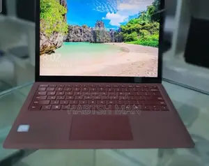 New Laptop Microsoft Surface Pro 8GB Intel Core i5 SSD 256GB