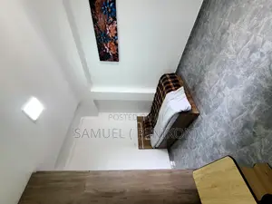 Furnished 3bdrm Apartment in Luxury Apartment, Bole for rent