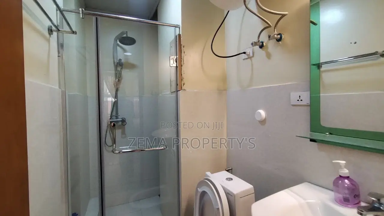 Furnished 3bdrm Apartment in Zema, Bole for rent