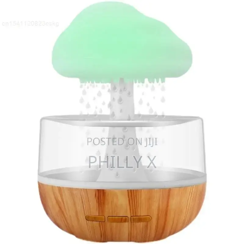 Cloud Rain Humidifier