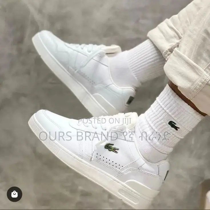 High Master Quality Lacost Low Cut Sneaker Shoes