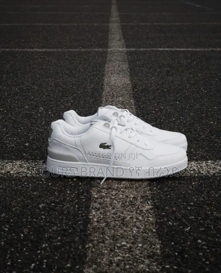 High Master Quality Lacost Low Cut Sneaker Shoes